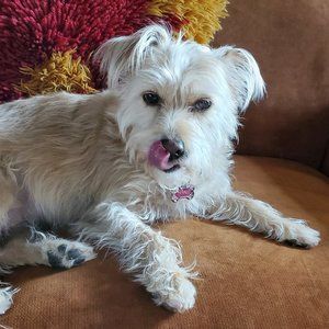 Meet your Posher, Nancy